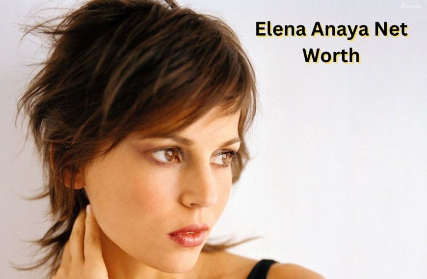 Elena-Anaya-Net-Worth