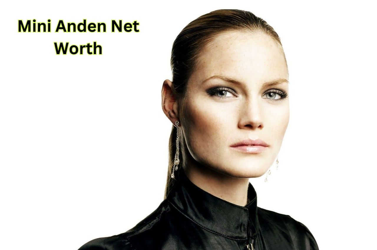 Mini-Anden-Net-Worth