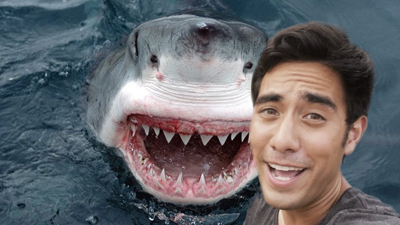 Zach King Salary