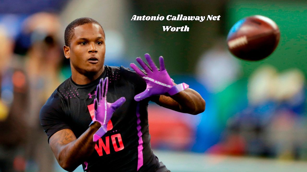 Antonio Callaway net worth