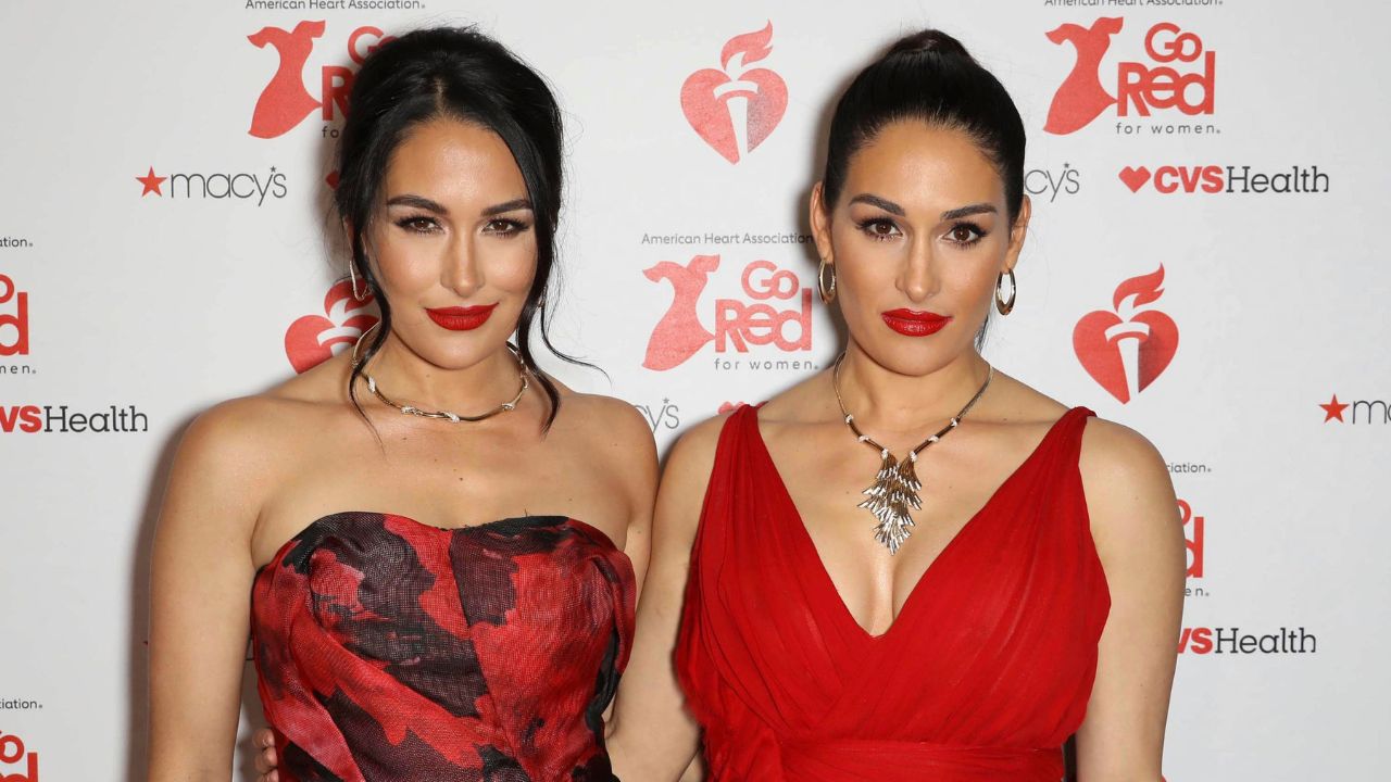 Brie Bella sisters