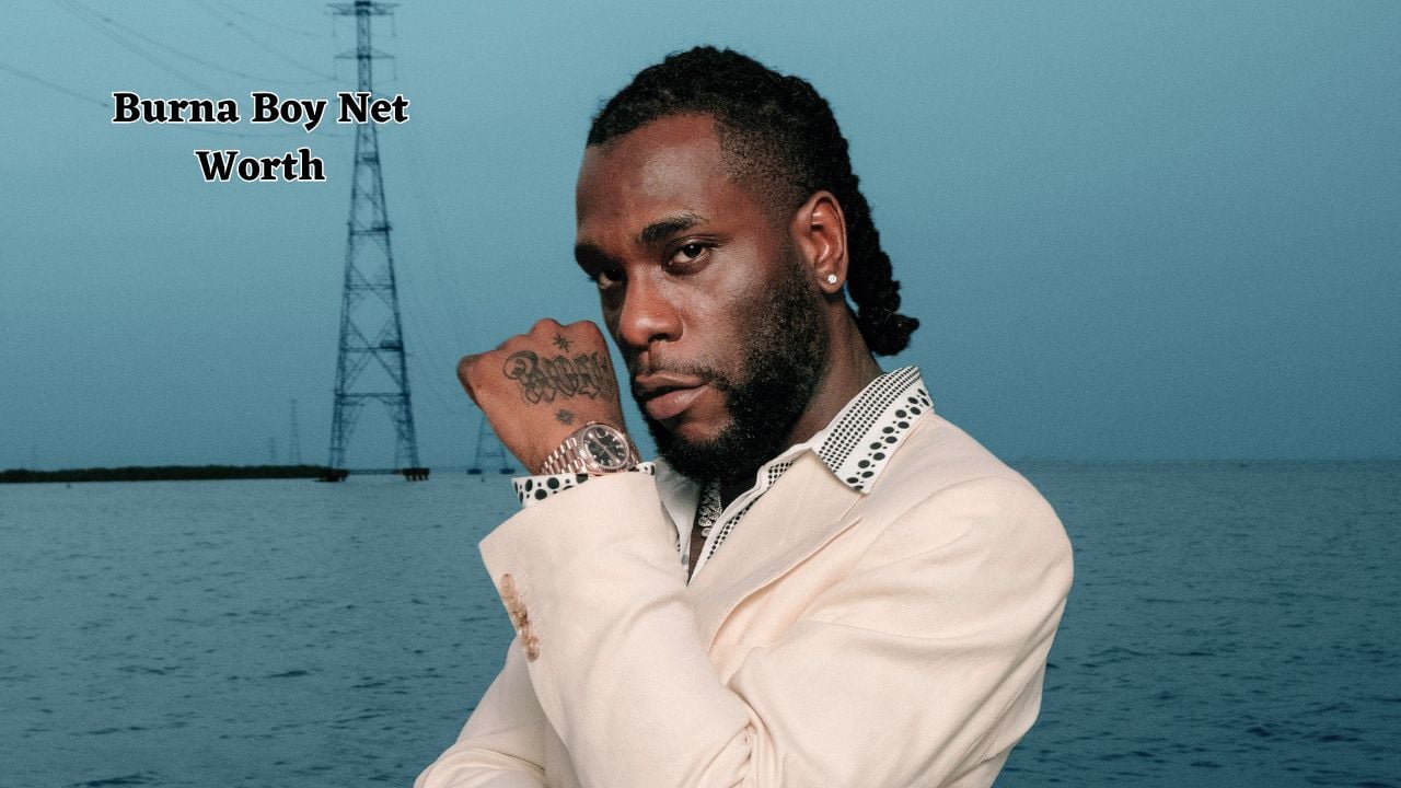 Burna Boy net worth