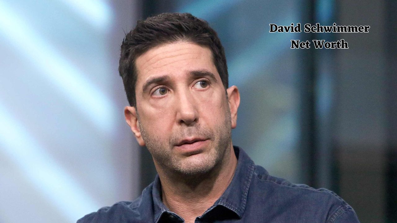 David Schwimmer net worth