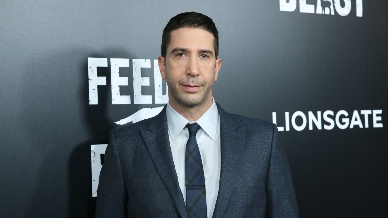 David Schwimmer