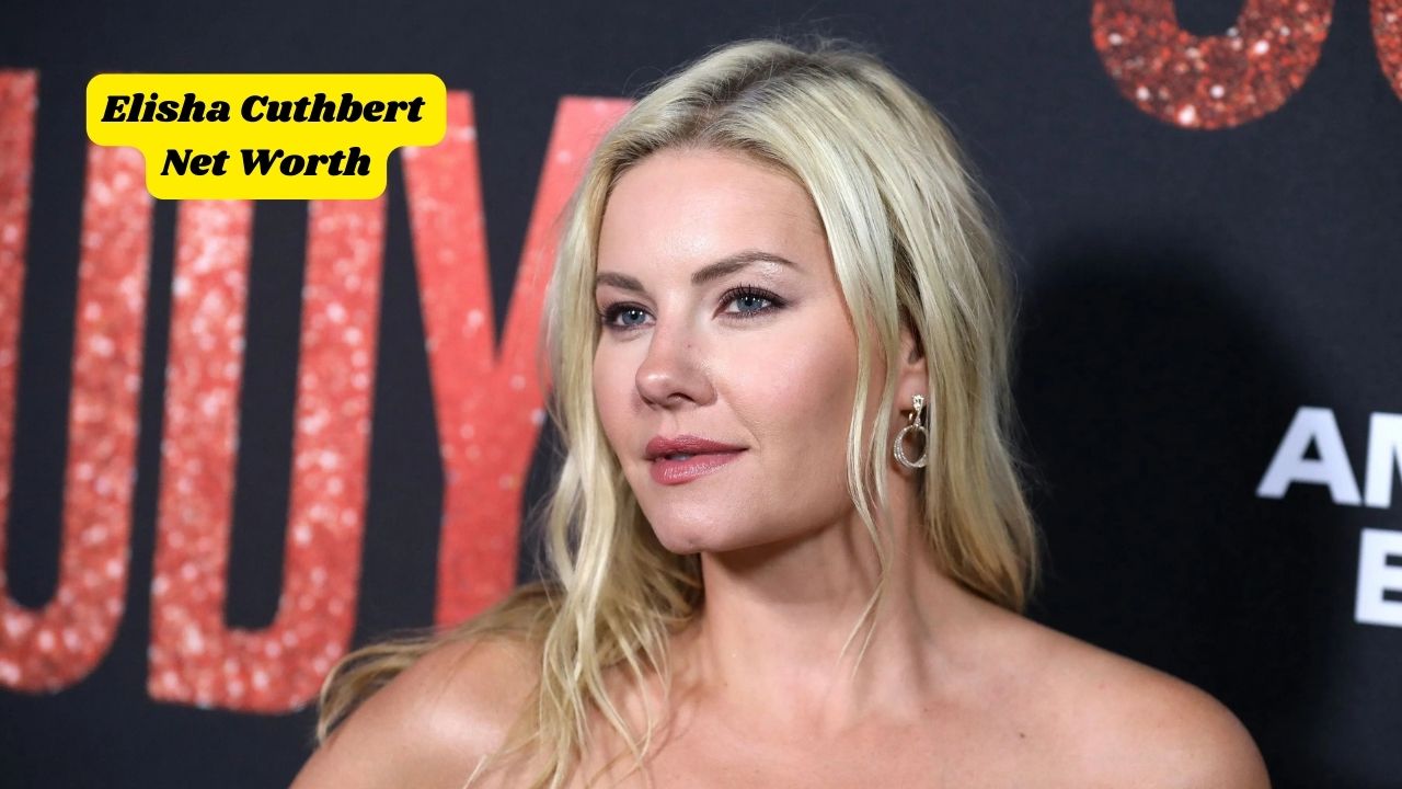 Elisha Cuthbert Net Worth