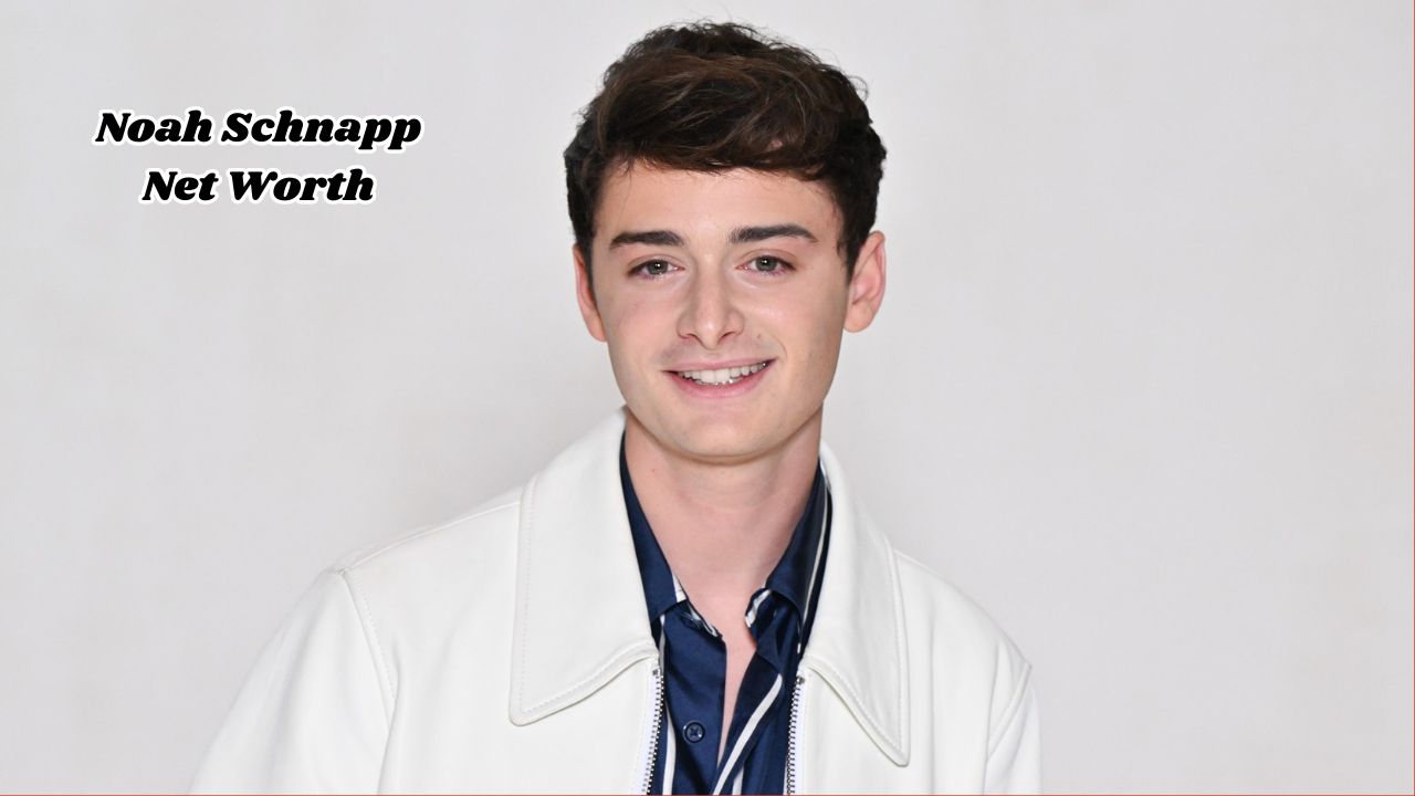 Noah Schnapp net worth