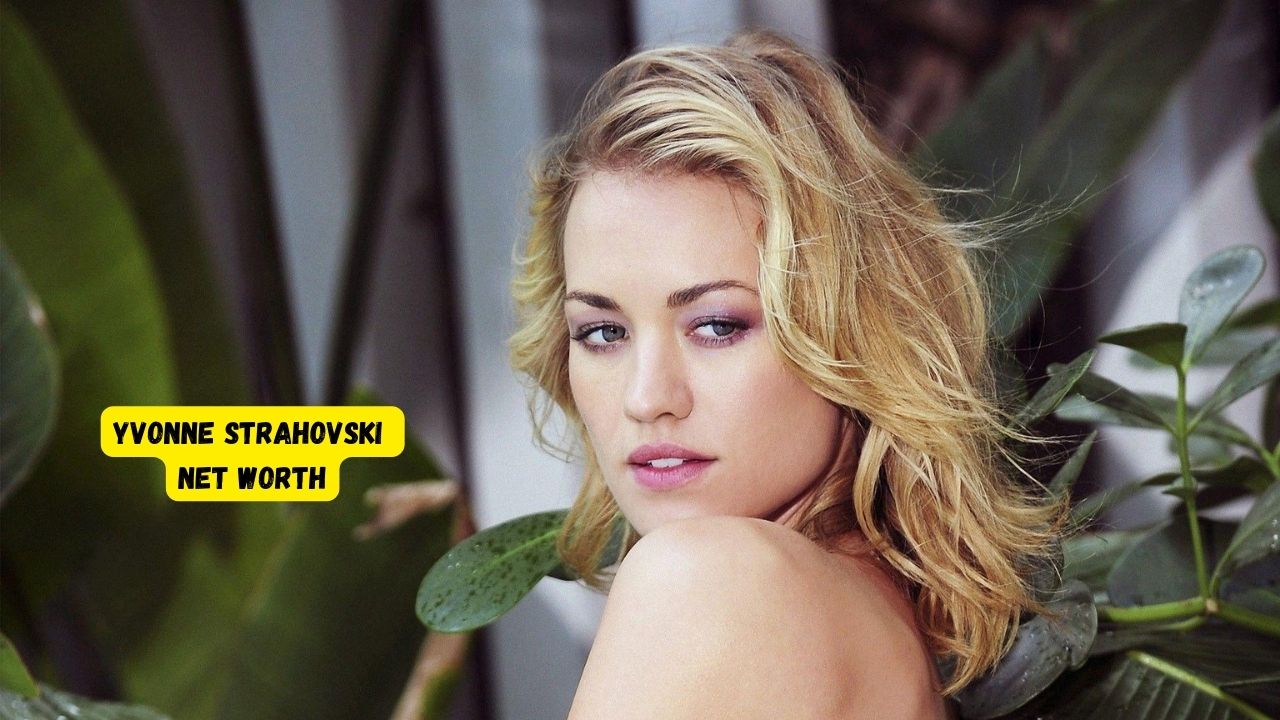 Yvonne Strahovski Net Worth